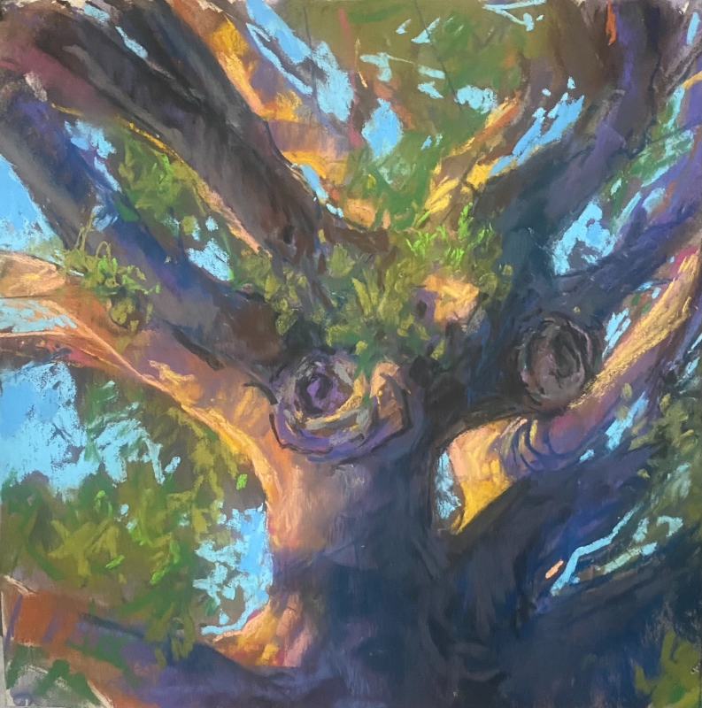 That Mighty Live Oak by artist Julia Fletcher